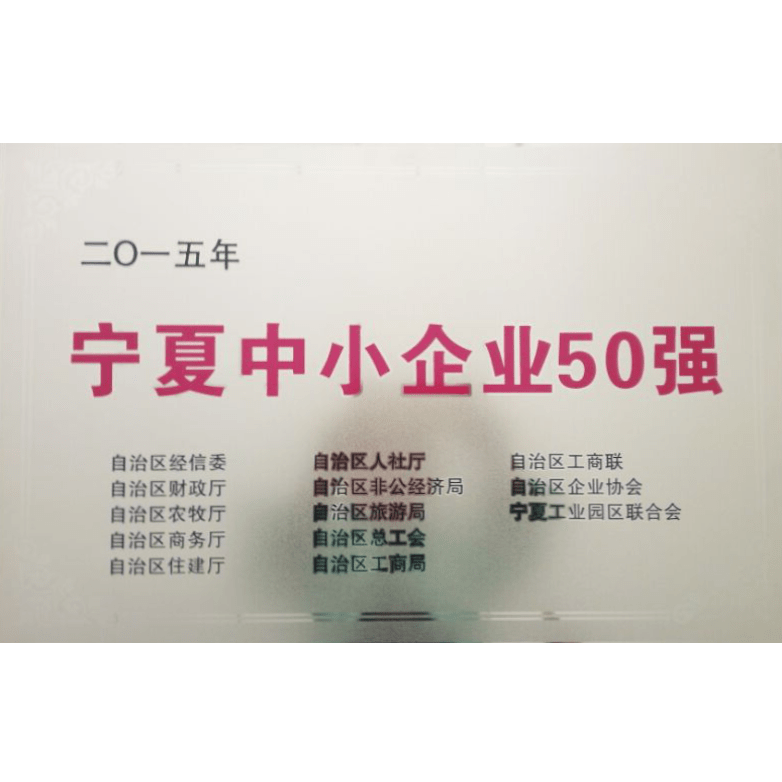 甯夏中(zhōng)小(xiǎo)企業50強